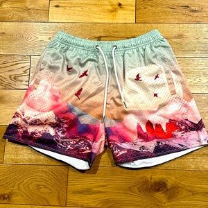 Young LA Sedona Pink Mesh Shorts